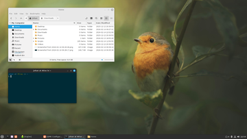 A screenshot of my Linux Mint desktop.